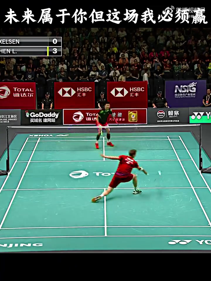 中国羽毛球队绝杀法国羽毛球队，安赛龙送出助攻的简单介绍