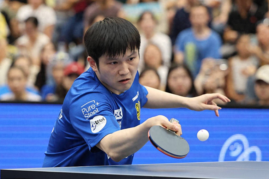 德国队绝杀日本队，樊振东统治全场